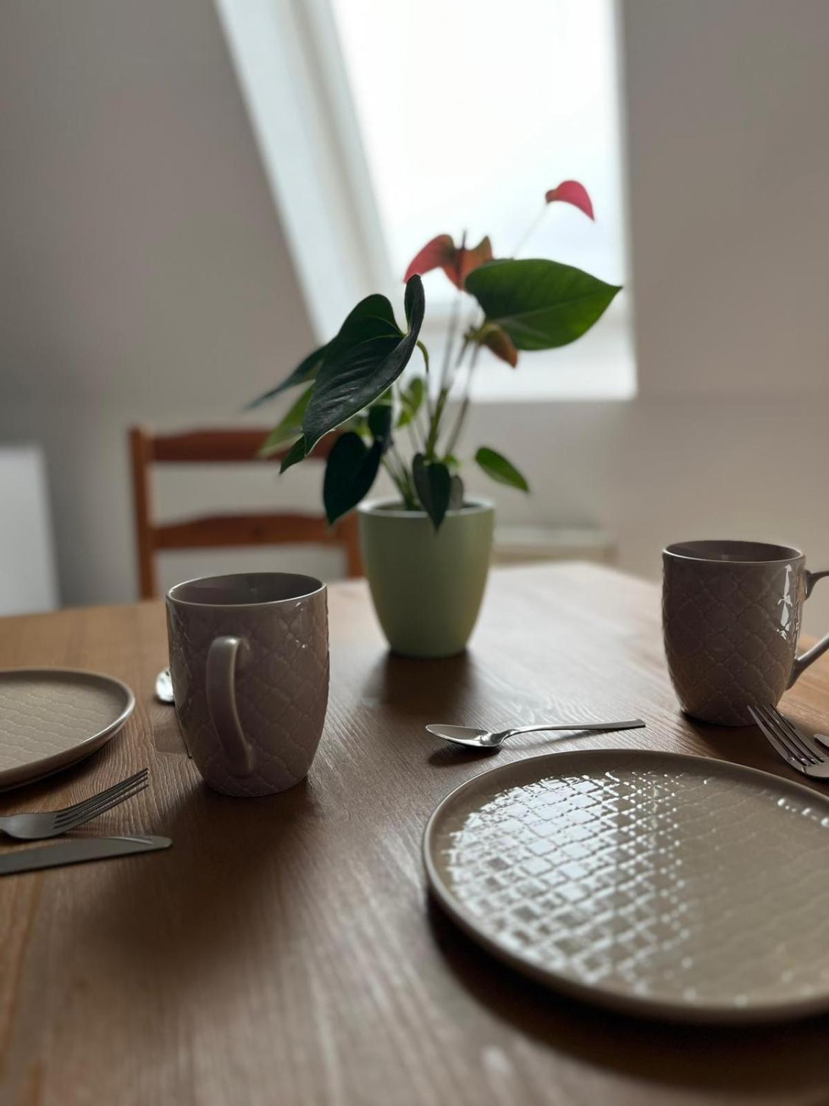 1 Raum Dachgeschosswohnung In Ruhiger Lage Limabach - Oberfrohna Eksteriør billede